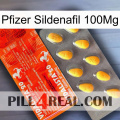 Pfizer Sildenafil 100Mg new01